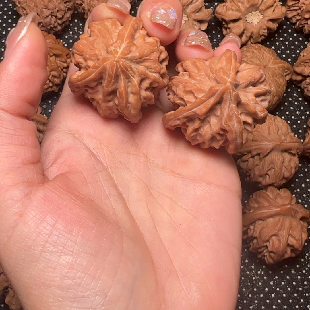 小****曹大龙，三轮，37，38，