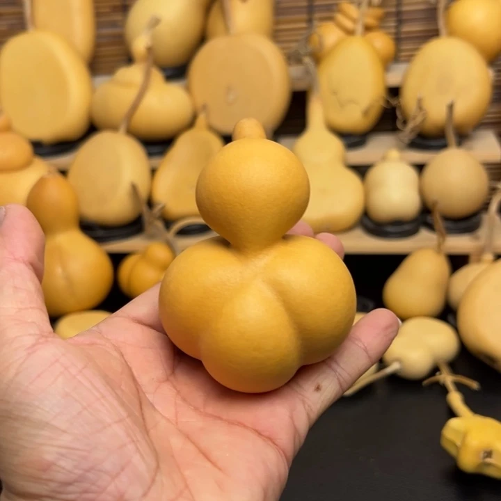 乐***芦255555655669998888