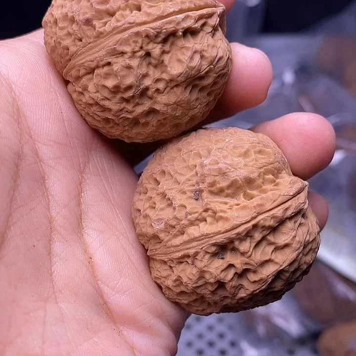 ༒***༒文玩核桃把件   136