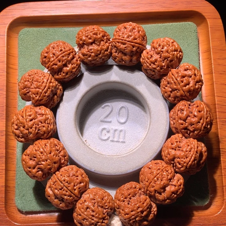 金刚菩提手串24+定制款龙骨梅花