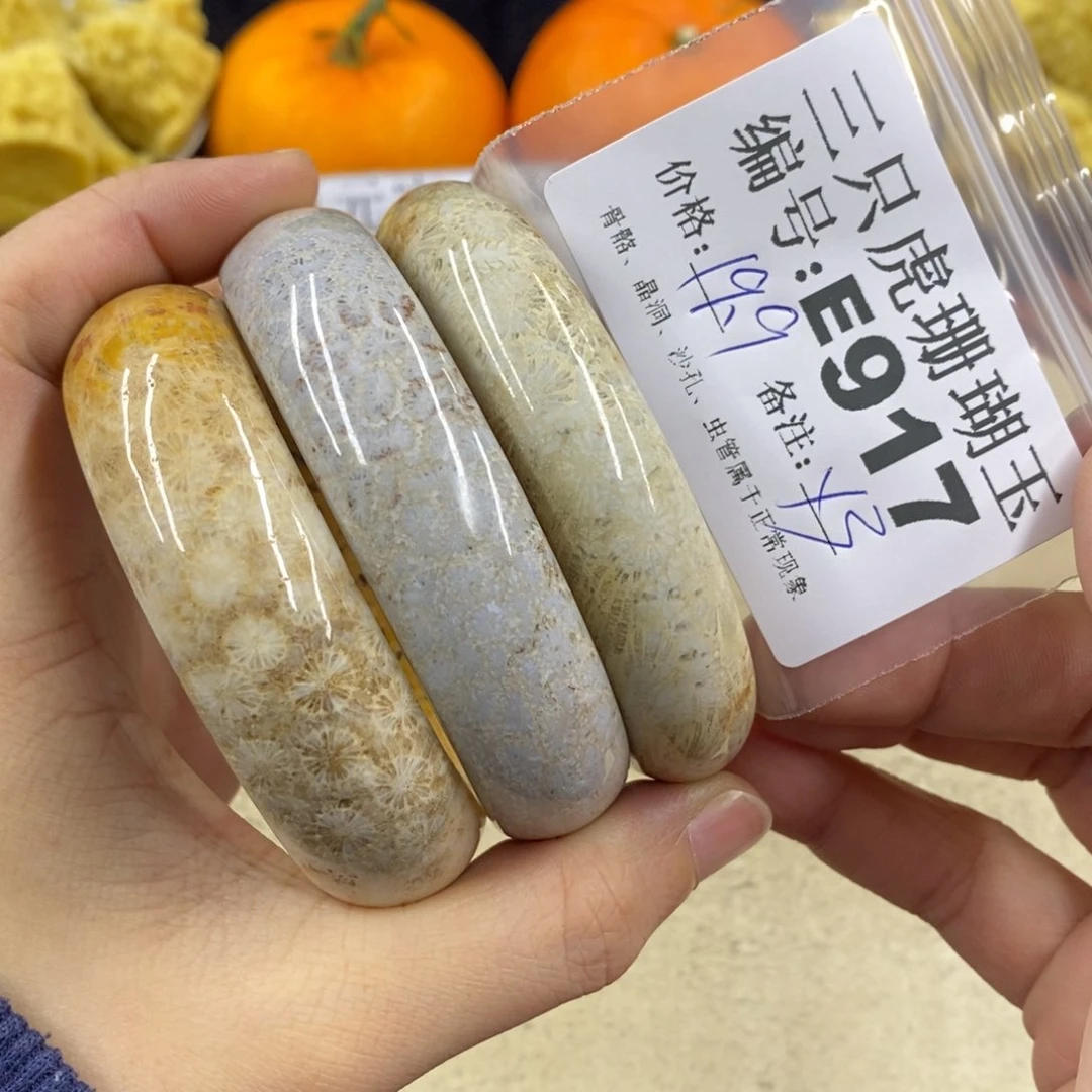 硅化珊瑚（珊瑚玉）1未镶嵌图*