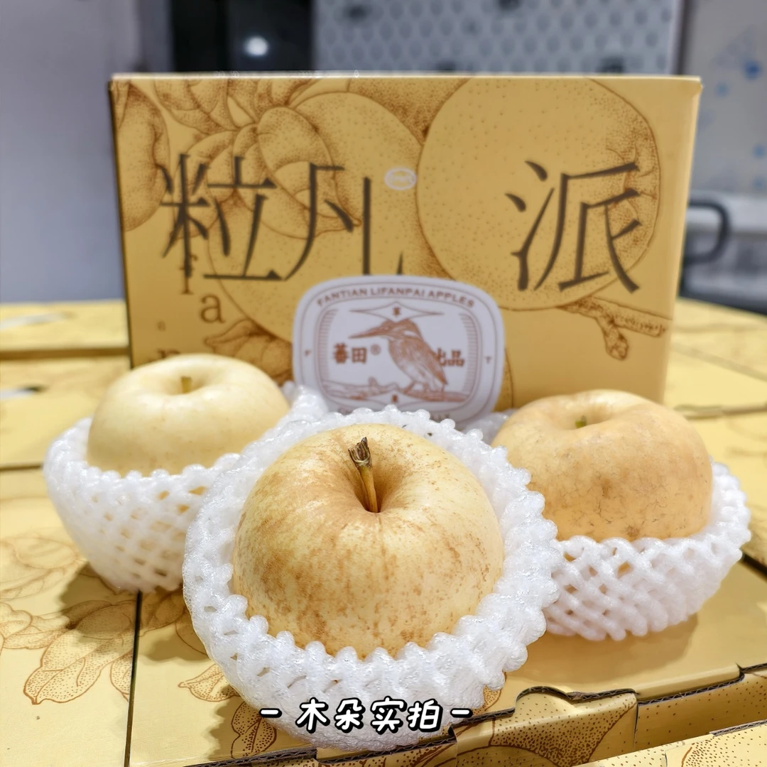 【门店自提】  维纳斯苹果家庭手提款-1整件（8个约3斤）山东