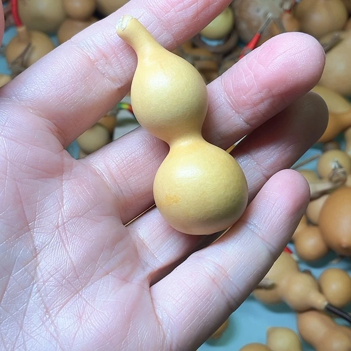 建*天津嘴不响籽绕指