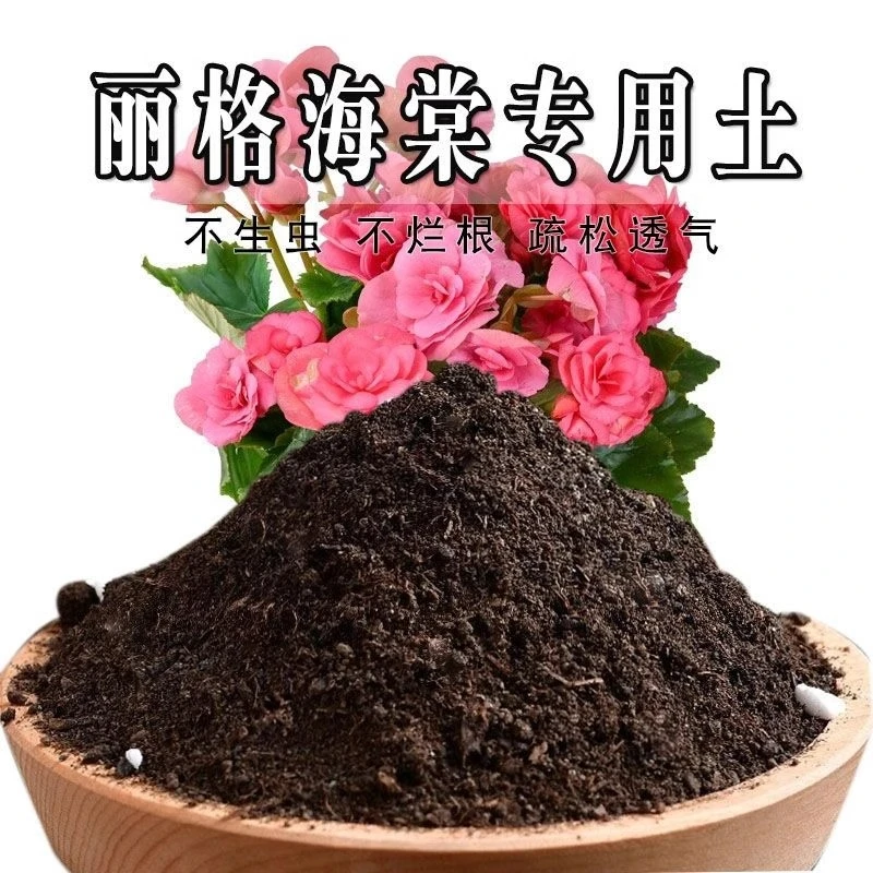 丽格海棠专用土丽格海棠专用营养土盆栽土养花种花土通用种植土壤