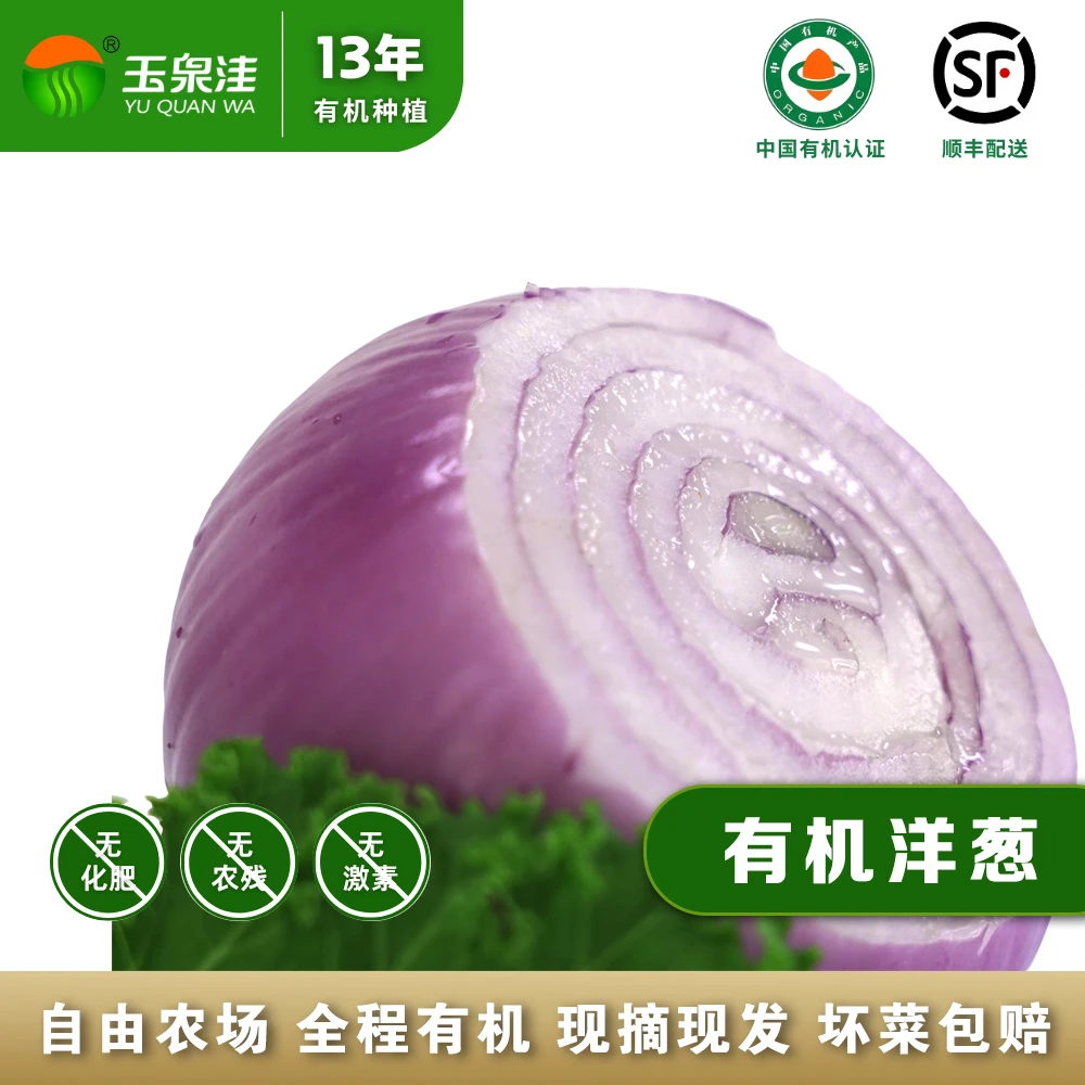 玉泉洼有机红洋葱健康美味炒菜凉拌好食材2500g
