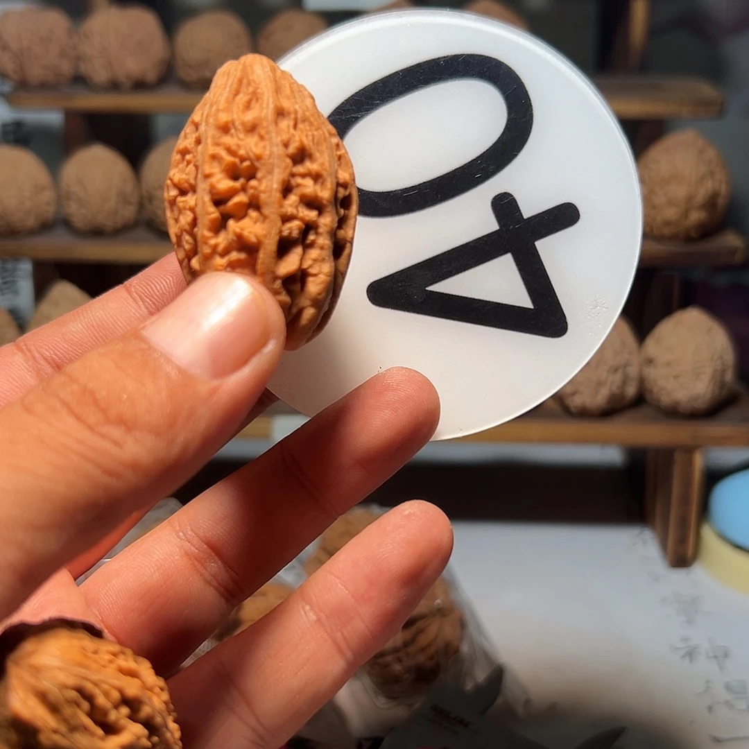 X***文玩核桃，白色40号