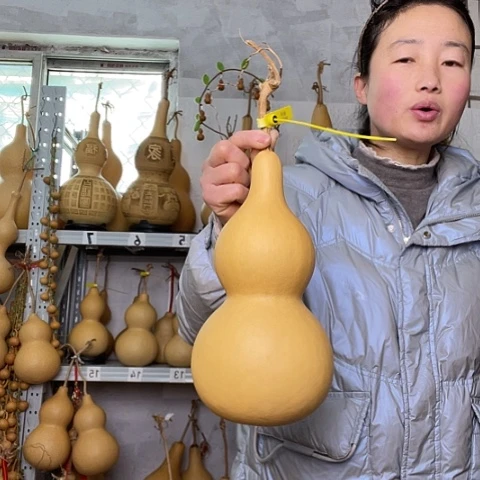 一**好天然植物葫芦文玩