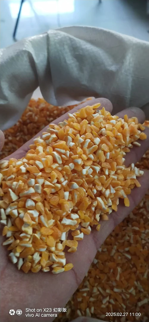 高林村农家东北笨玉米大碴子玉米碴子大喳子玉米糁玉米渣杂粮粗粮