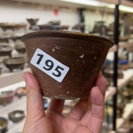 红陶嗯**的195//////