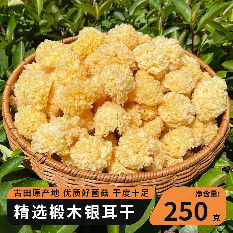 椴木小银耳250g古田2025新货特产新无熏硫白木耳椴木银耳羹拉丝
