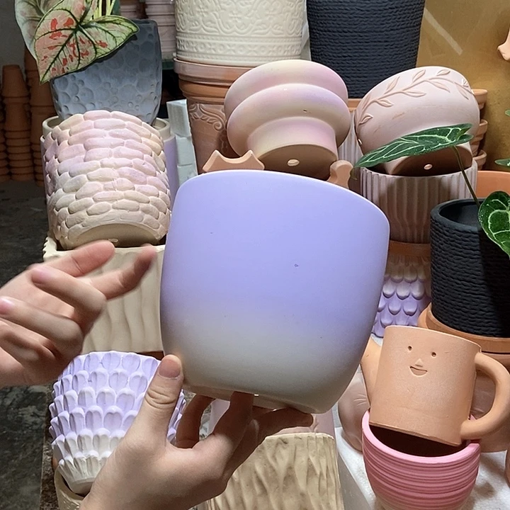 15×13紫色苹果盆1个