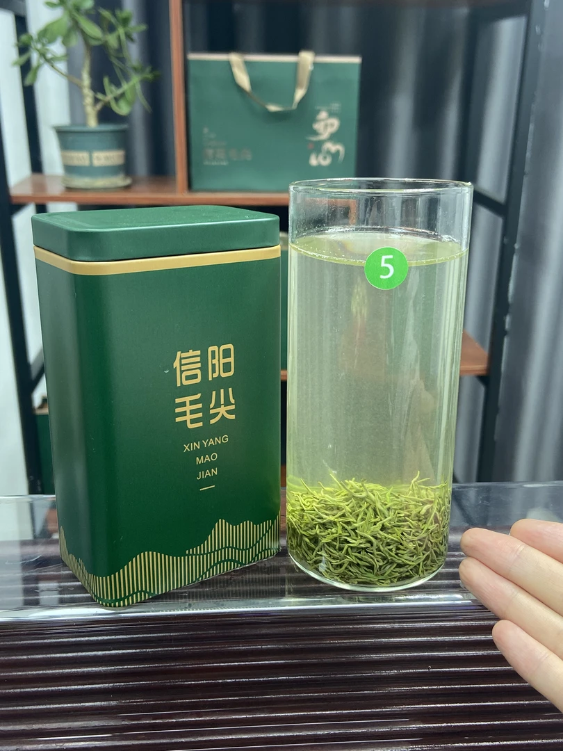 5号正宗信阳毛尖茶《明前头采小芽》本地老汉茶群体种兰香、鲜嫩甘甜