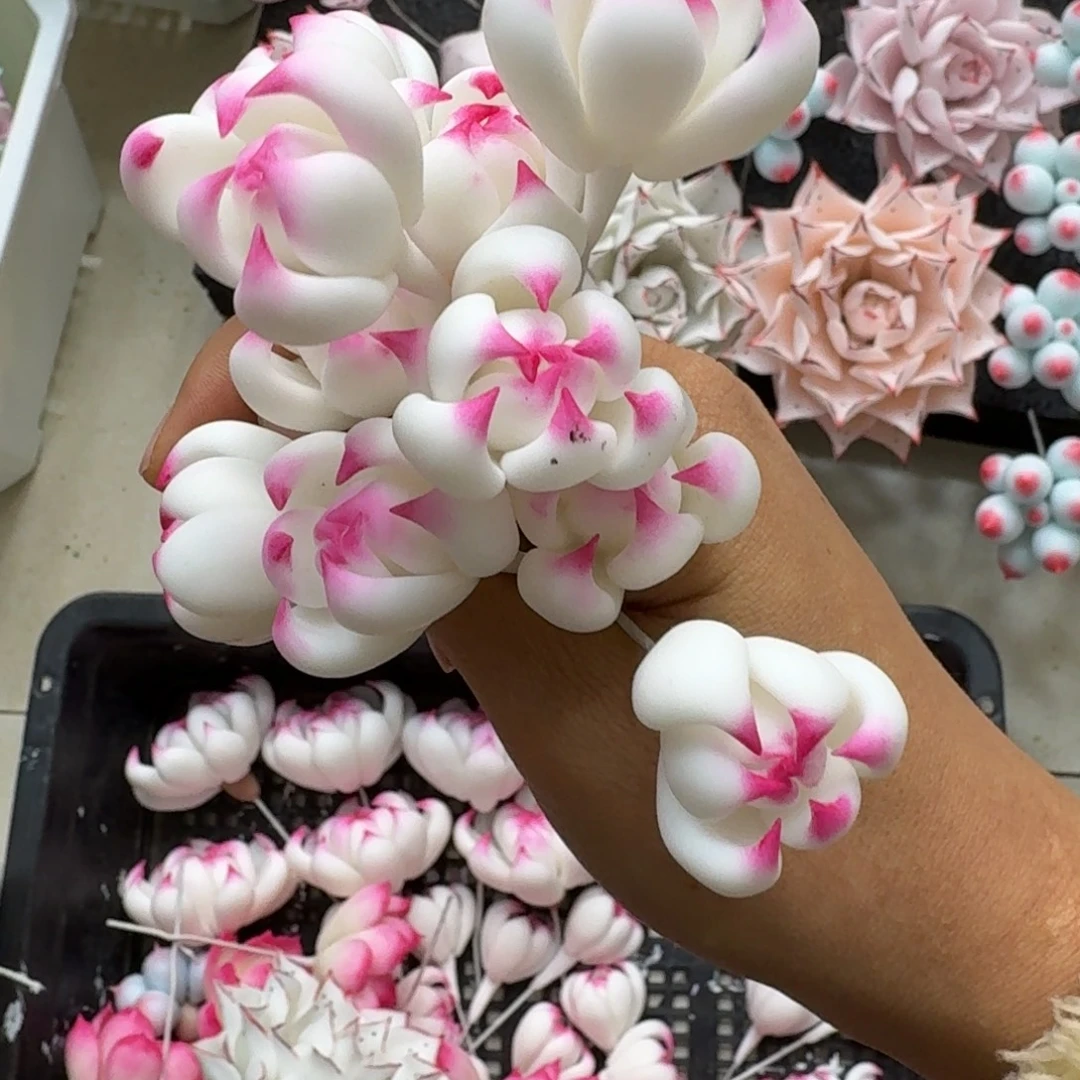 树脂制品38号莫莫莫