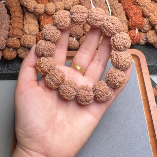 菩提7号尼泊尔大金刚22六瓣梅花