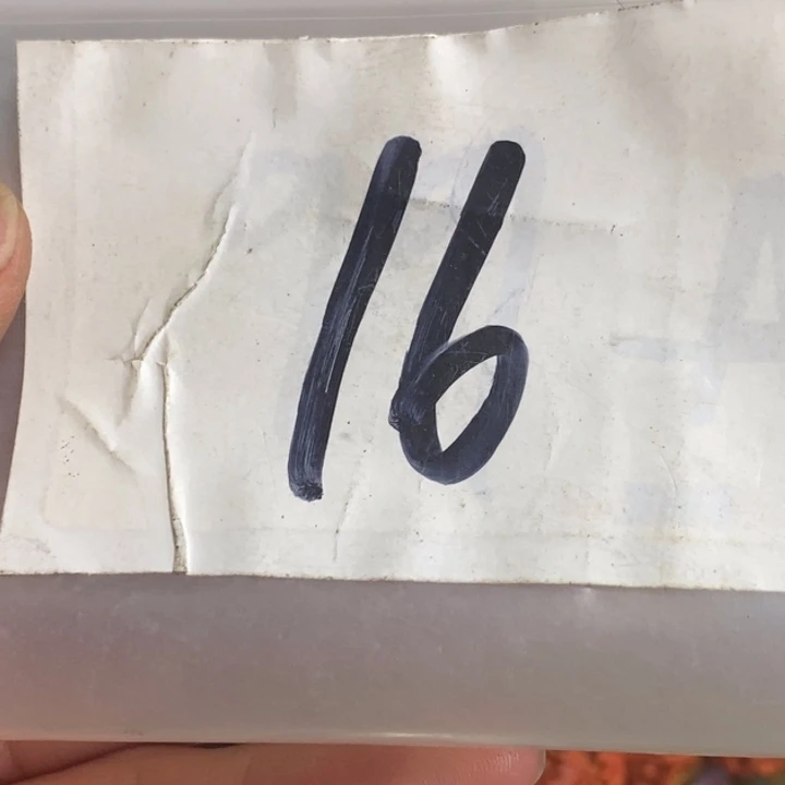 吊坠龙脊菩提淡*