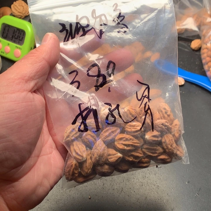 桃核吊坠波**多野生精品小核桃散籽