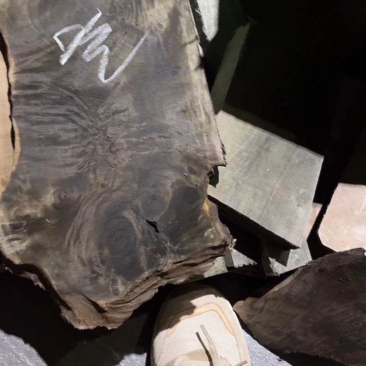 吃***猪四川小叶金丝楠原材料