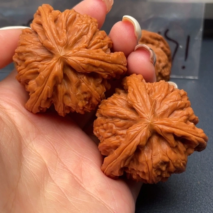 逗***玩吊坠文玩核桃白狮子