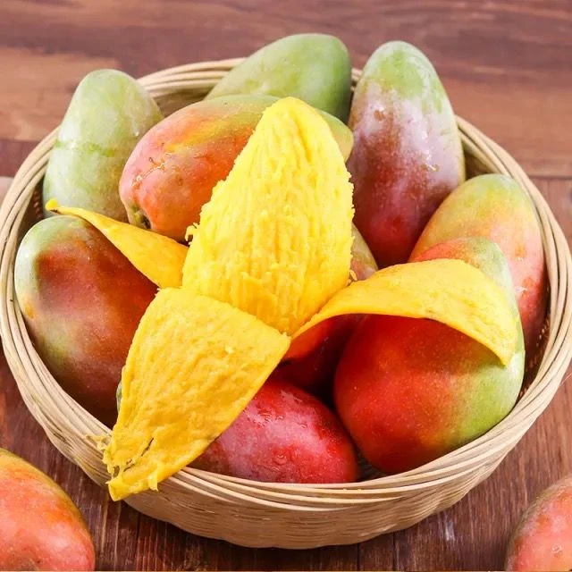 攀枝花小贵妃芒果礼盒 10斤装