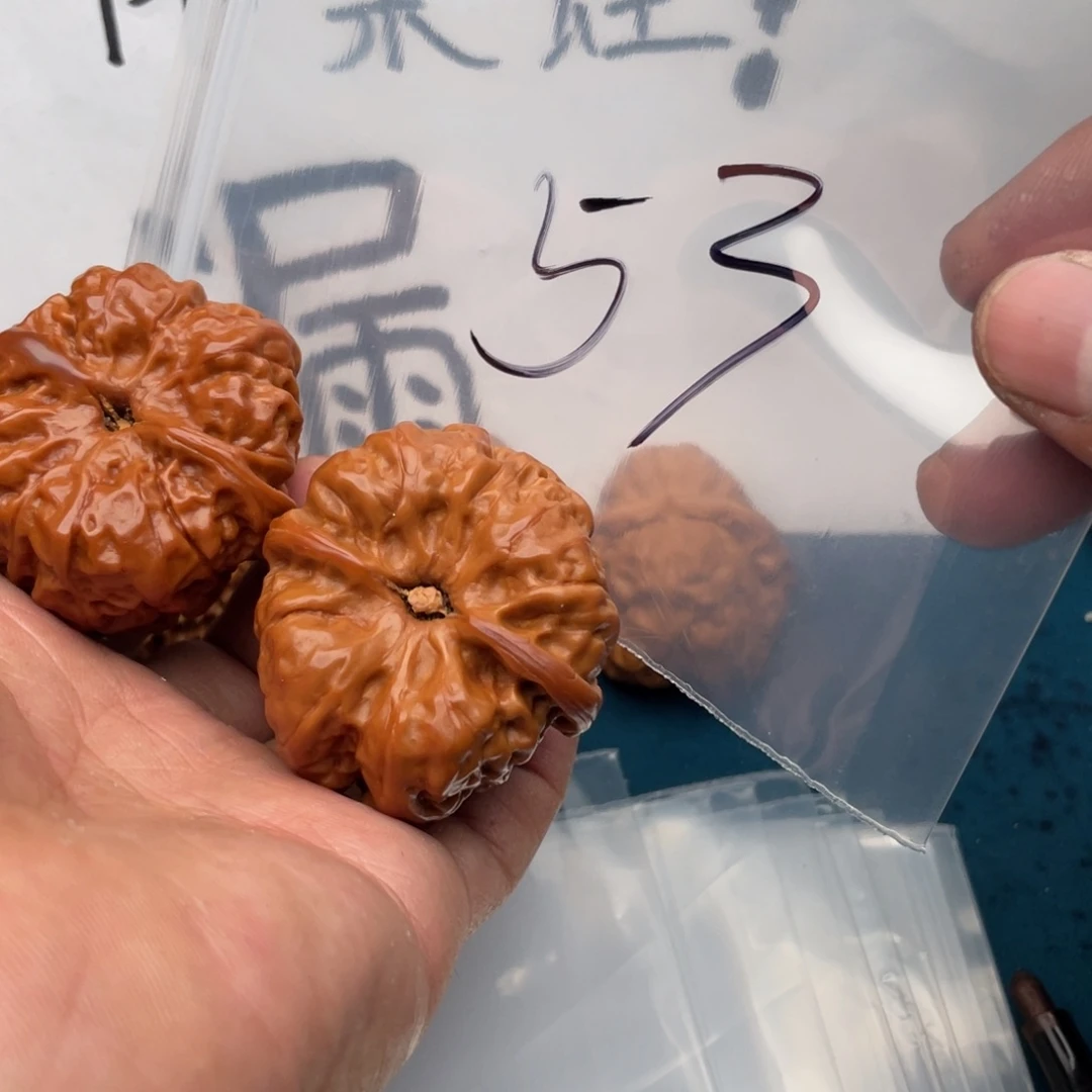 核桃手串/手链537735357573537735