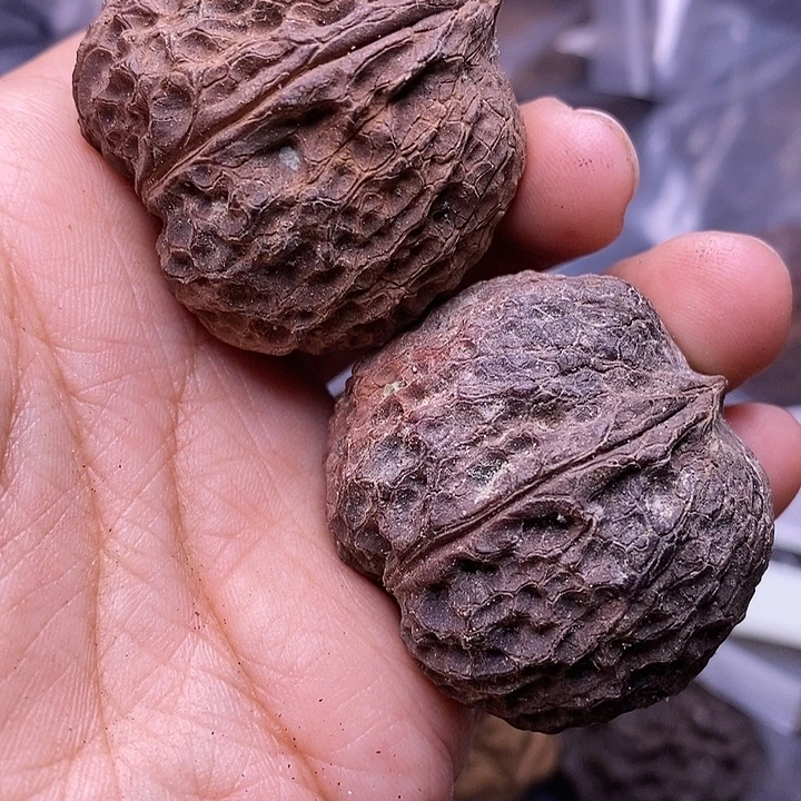 文玩核桃把件   92