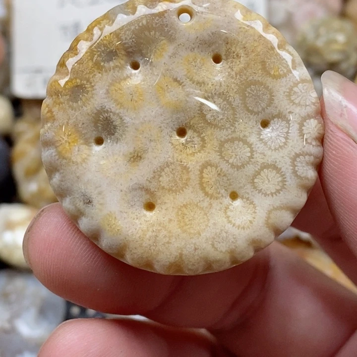 颈饰未镶嵌硅化珊瑚（珊瑚玉）