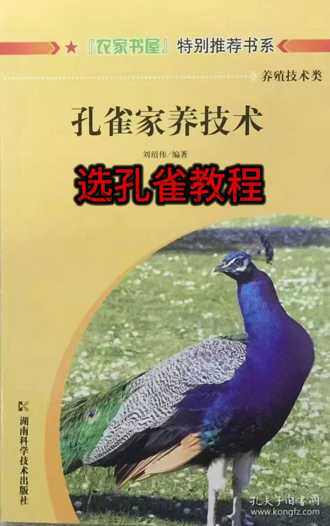 主播教你如何挑选孔雀（一对一挑选）