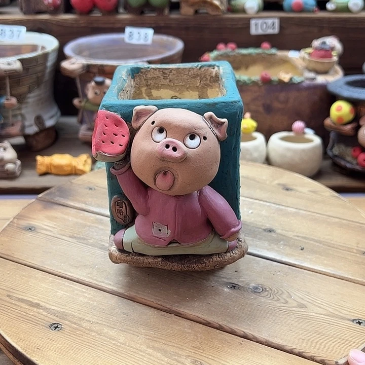 嘻哈多肉花盆百搭