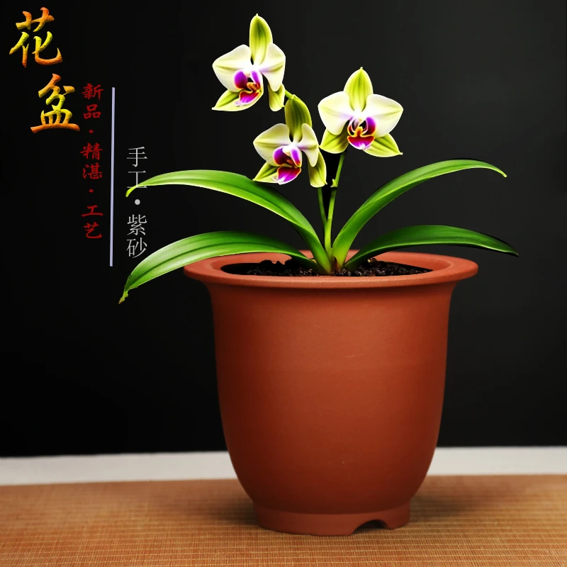 自产宜兴精品紫砂盆大口径专用兰花盆多肉花盆君子兰盆栽陶瓷花盆