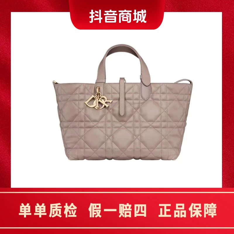 全新未使用 DIOR/迪奥 dior toujours藤格纹中号子母手提包暖灰色