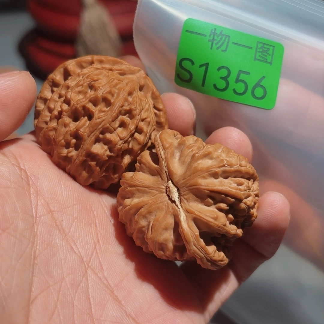 把件文玩核桃白狮子