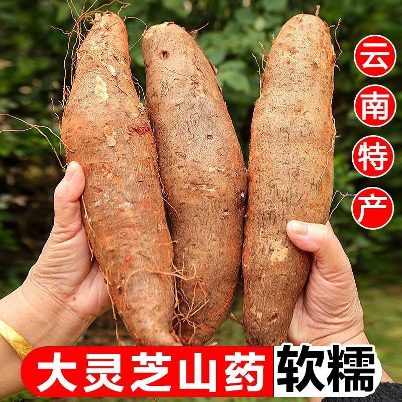 大理集市山货大蒜吗农家自种山药