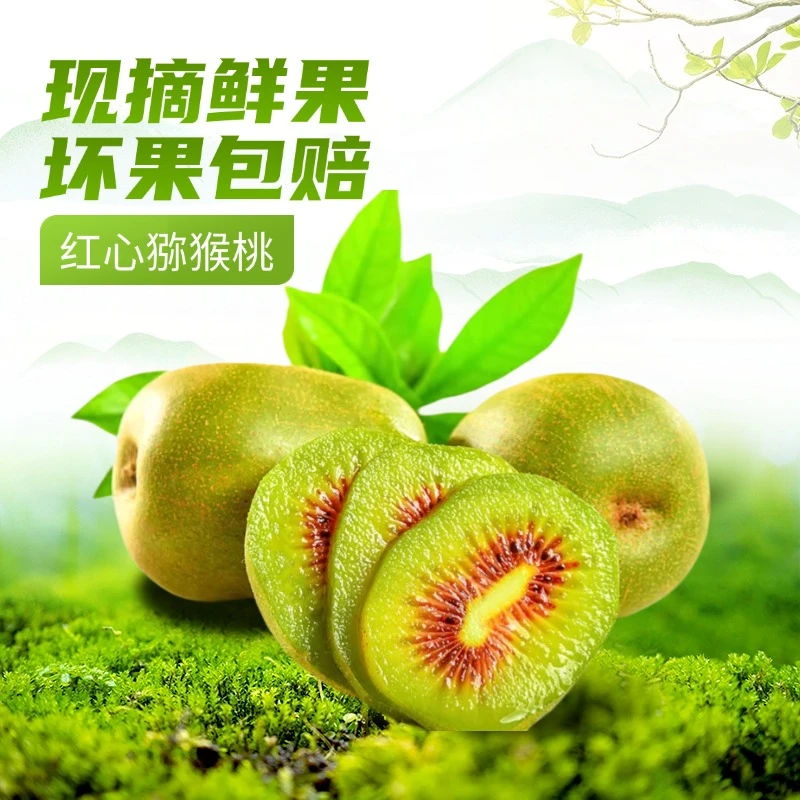 四川红心猕猴桃奇异果当季新鲜水果小中大果特大果