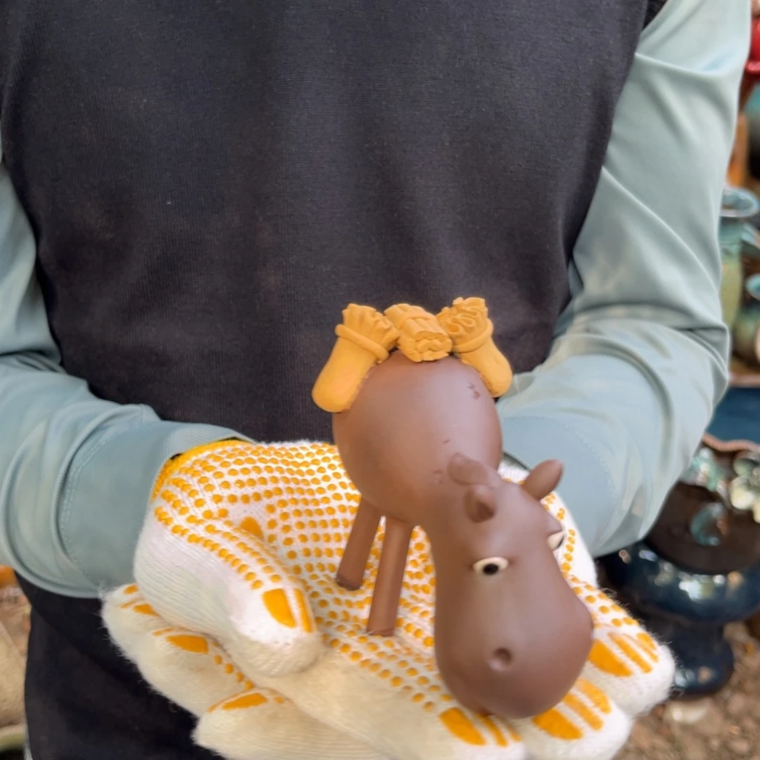 高8宽12正品正品