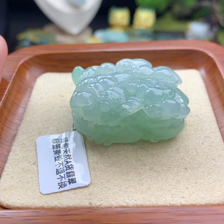 翡翠未镶嵌颈饰貔貅23