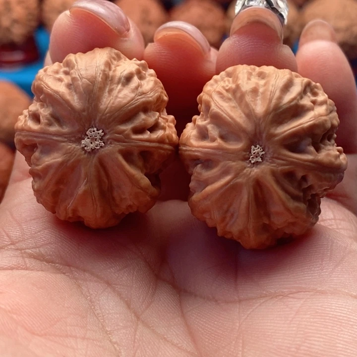 核桃精品文玩核桃手捻小粗筋