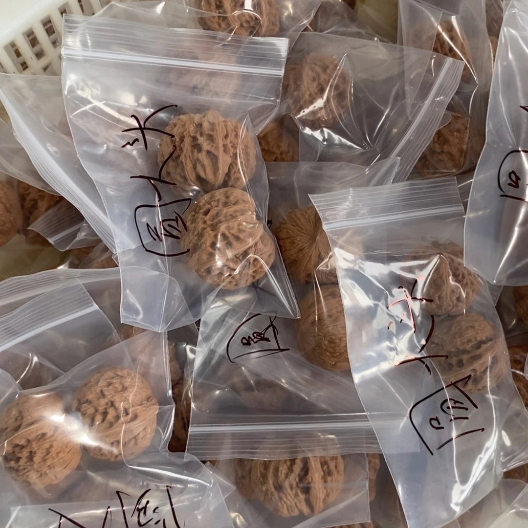 文玩核桃吊坠袁大头