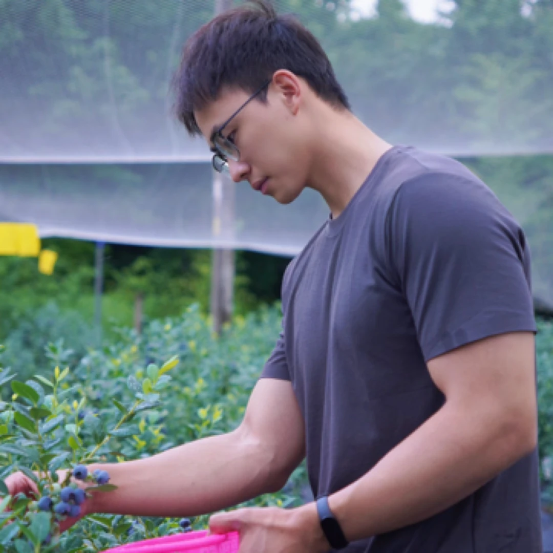 新昌天姥蓝头茬露天 花香蓝莓 绿色食品 当天现摘现发