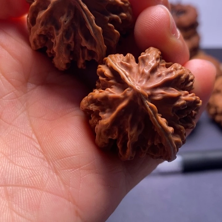 秦岭野生文玩核桃