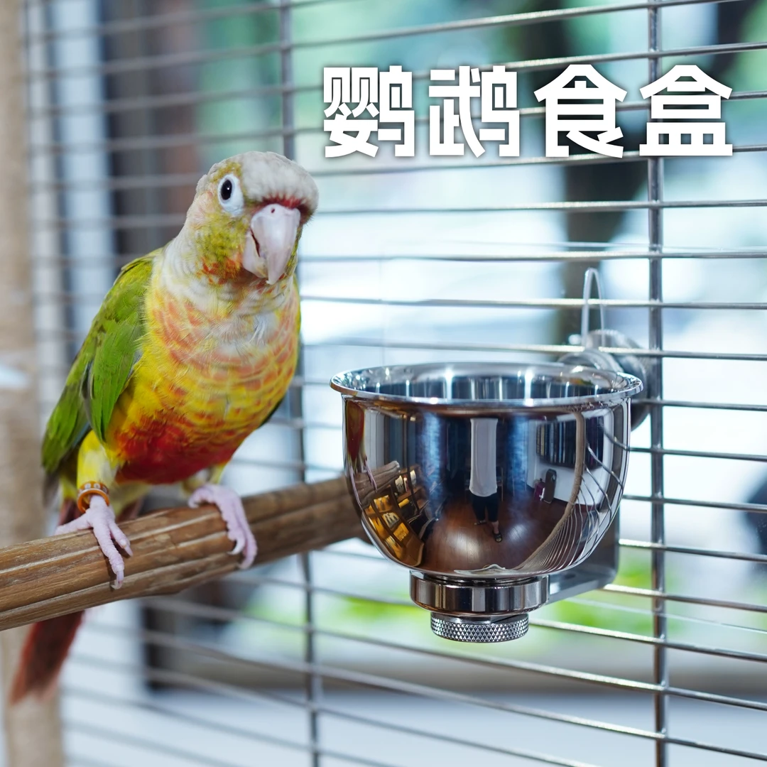 鹦鹉磁吸喂食器食盒防叨防溅粮八哥饲料碗不锈钢鸟笼配件鸟用食杯