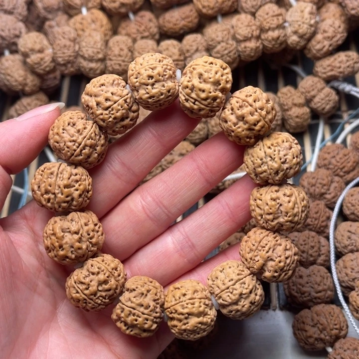 菩提尼泊尔大金刚爆肉梁20+