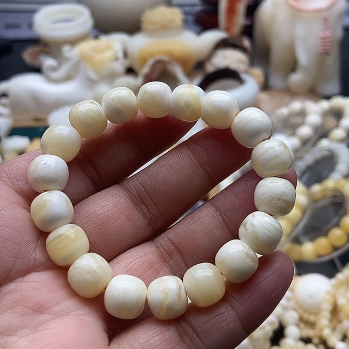 非金属贝壳蜜蜡色老型全品