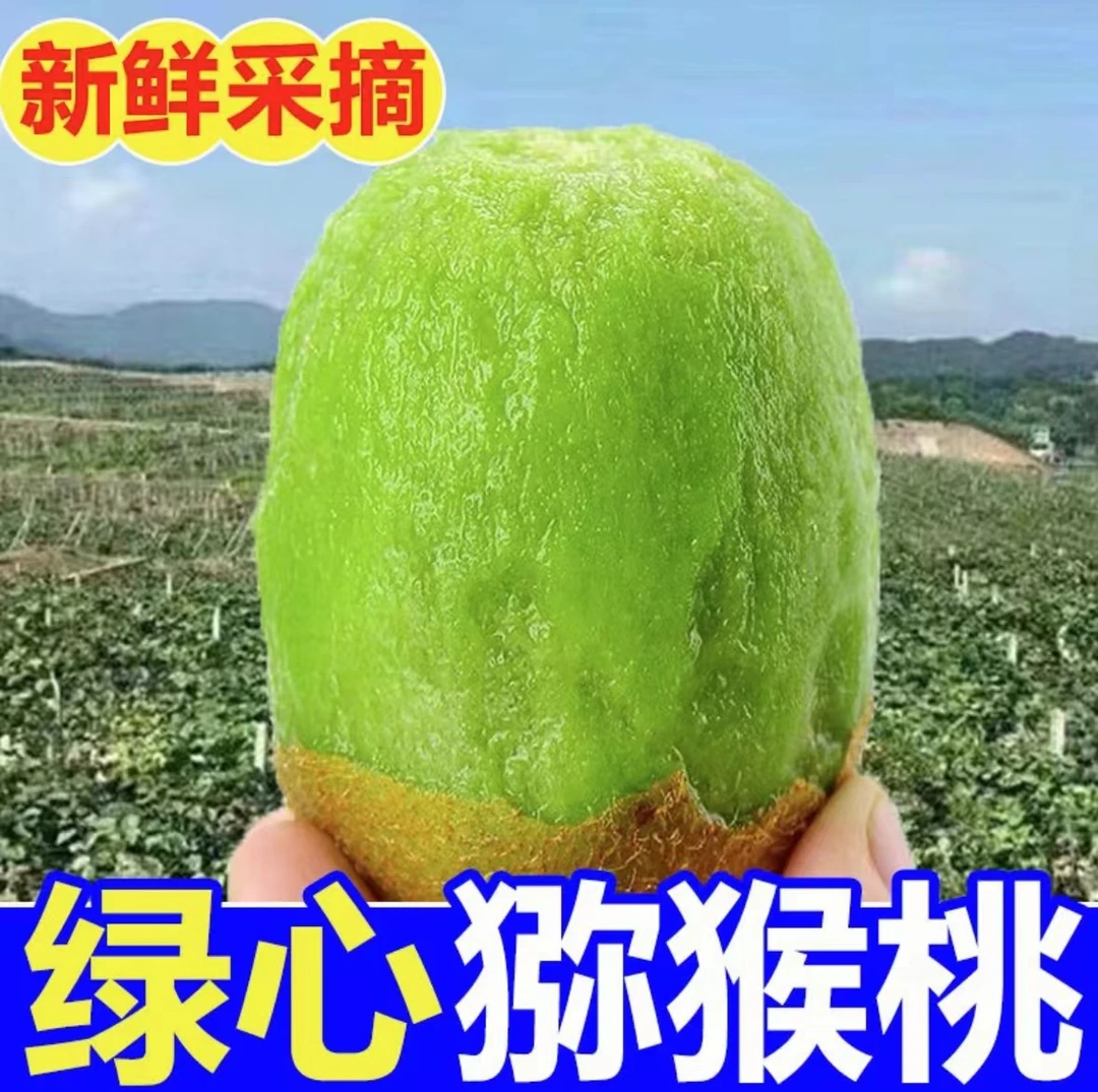 【产地直发】湘西米良1号绿心猕猴桃鲜甜多汁现摘现发收到货需催熟