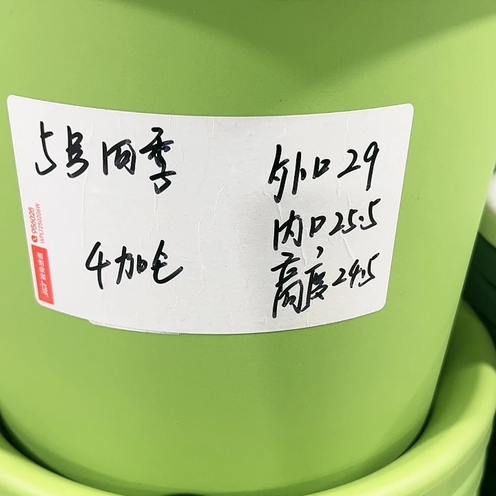 特价5号口29高24.5白色的6只带托
