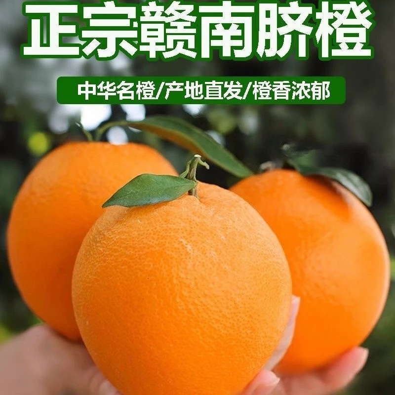 正宗江西赣南脐橙信丰脐橙农家甜橙子现摘新鲜水果香甜爆汁