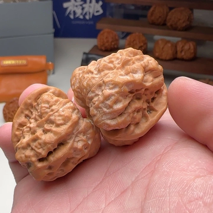 L35-36-30小蛙体验对28号