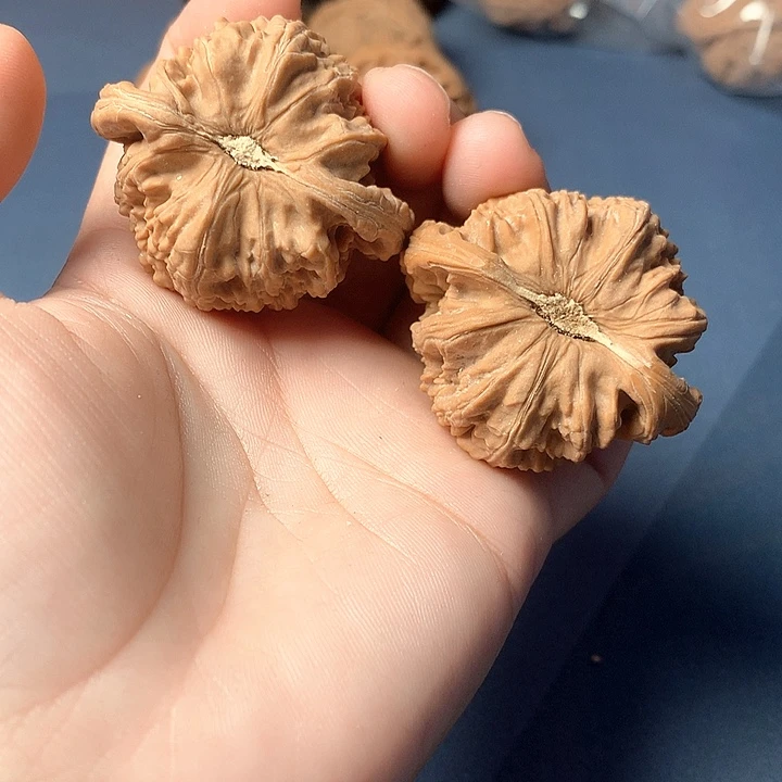٩***و文玩核桃吊坠白狮子
