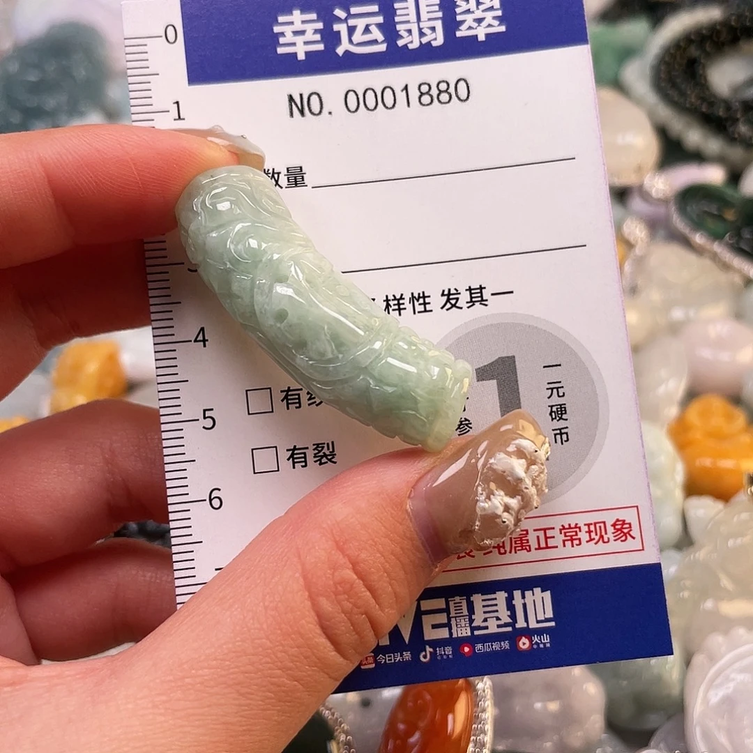 翡翠未镶嵌颈饰1880