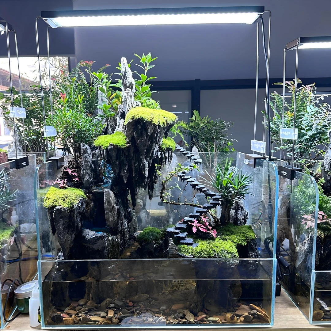 50生态水陆缸办公室客厅书房茶桌绿植流水景观摆件养鱼观景生态缸