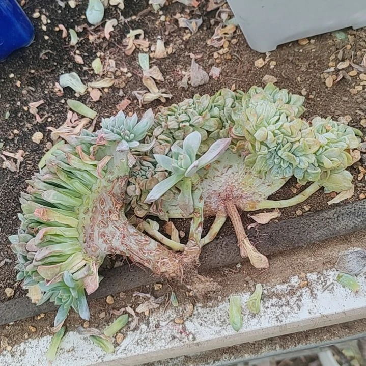 福利福利福利福利福利